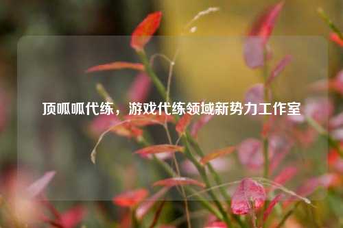 顶呱呱代练，游戏代练领域新势力工作室