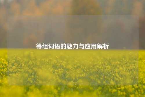 等组词语的魅力与应用解析