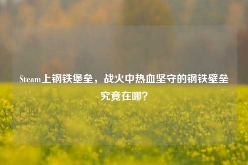 Steam上钢铁堡垒，战火中热血坚守的钢铁壁垒究竟在哪？