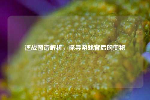 逆战图谱解析，探寻游戏背后的奥秘