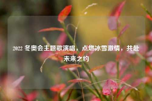 2022 冬奥会主题歌演唱,点燃冰雪激情,共赴未来之约