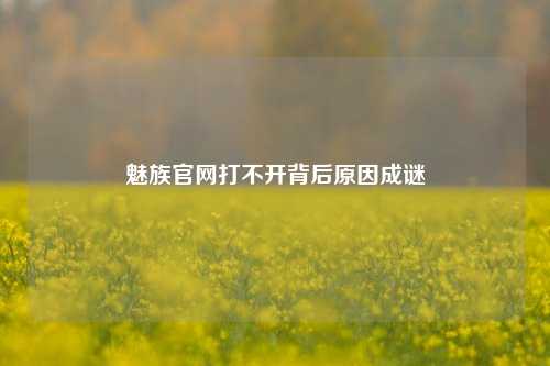 魅族官网打不开背后原因成谜