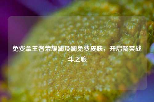 免费拿王者荣耀澜及澜免费皮肤，开启畅爽战斗之旅