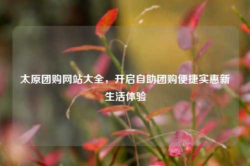 太原团购网站大全，开启自助团购便捷实惠新生活体验