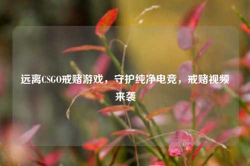 远离CSGO戒赌游戏，守护纯净电竞，戒赌视频来袭