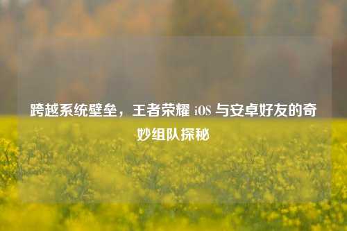 跨越系统壁垒，王者荣耀 iOS 与安卓好友的奇妙组队探秘