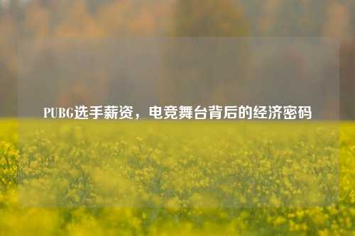 PUBG选手薪资，电竞舞台背后的经济密码