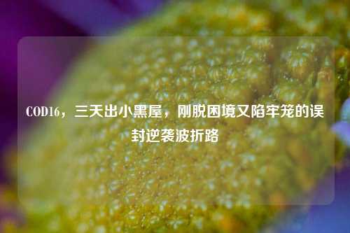 COD16，三天出小黑屋，刚脱困境又陷牢笼的误封逆袭波折路
