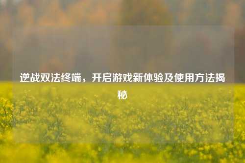 逆战双法终端，开启游戏新体验及使用方法揭秘