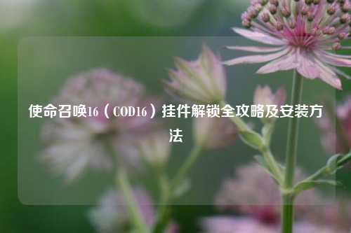 使命召唤16（COD16）挂件解锁全攻略及安装方法