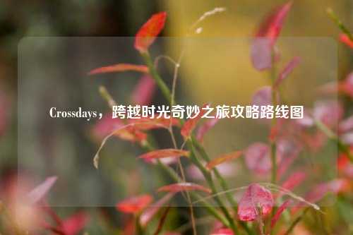 Crossdays，跨越时光奇妙之旅攻略路线图