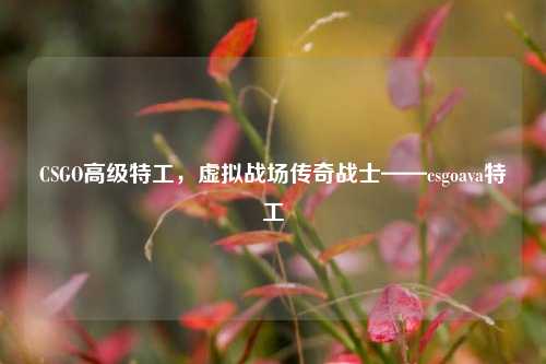CSGO高级特工，虚拟战场传奇战士——csgoava特工