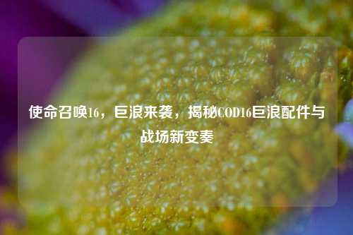 使命召唤16，巨浪来袭，揭秘COD16巨浪配件与战场新变奏