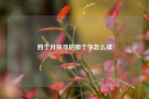 四个月探寻的那个字怎么读