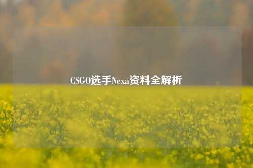 CSGO选手Nexa资料全解析
