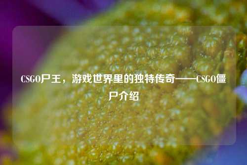 CSGO尸王,游戏世界里的独特传奇——CSGO僵尸介绍