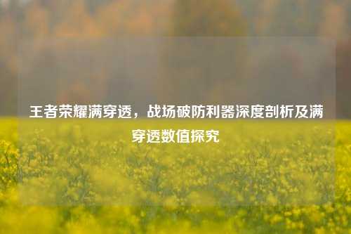 王者荣耀满穿透，战场破防利器深度剖析及满穿透数值探究