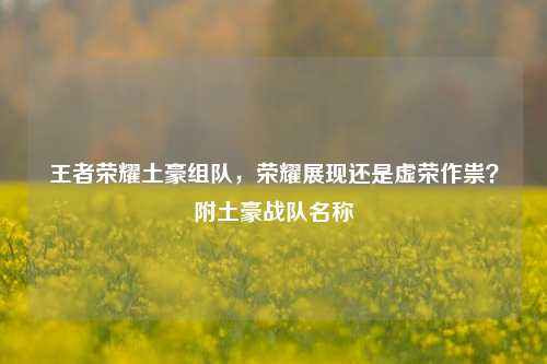 王者荣耀土豪组队，荣耀展现还是虚荣作祟？附土豪战队名称
