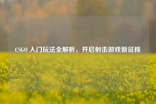 CSGO 入门玩法全解析，开启射击游戏新征程