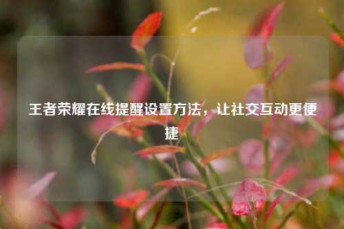 王者荣耀在线提醒设置方法，让社交互动更便捷