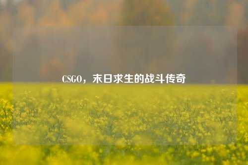 CSGO，末日求生的战斗传奇