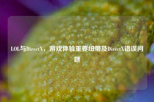 LOL与DirectX，游戏体验重要纽带及DirectX错误问题