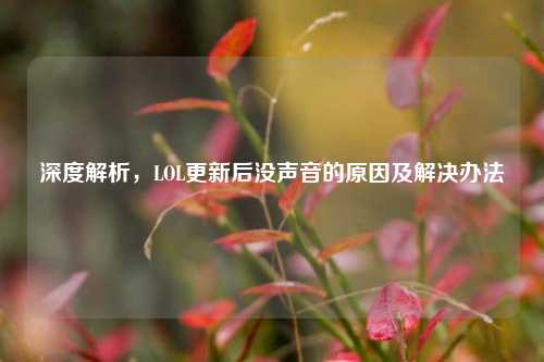 深度解析，LOL更新后没声音的原因及解决办法