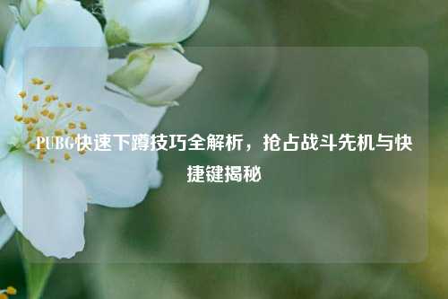 PUBG快速下蹲技巧全解析，抢占战斗先机与快捷键揭秘