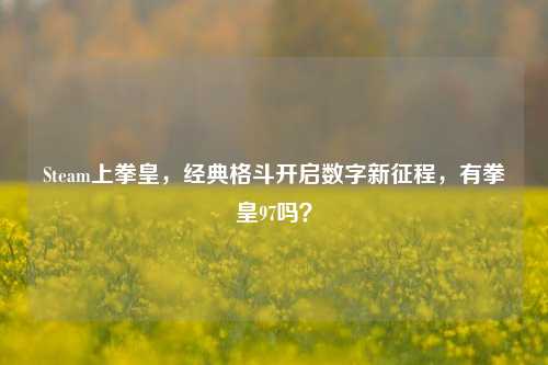 Steam上拳皇，经典格斗开启数字新征程，有拳皇97吗？