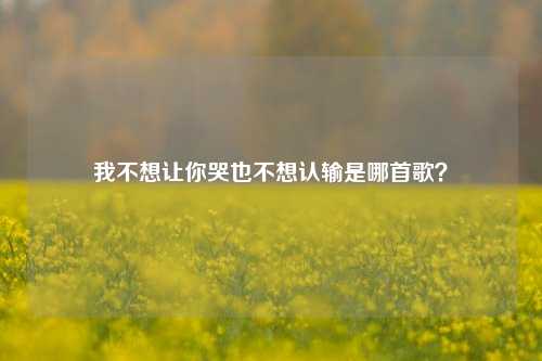 我不想让你哭也不想认输是哪首歌？