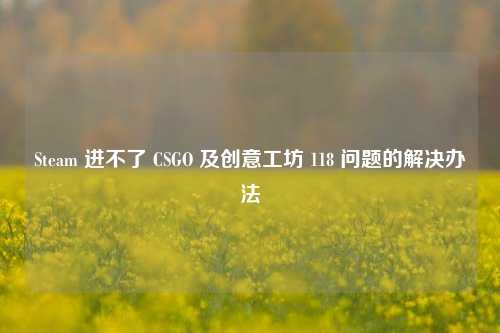 Steam 进不了 CSGO 及创意工坊 118 问题的解决办法