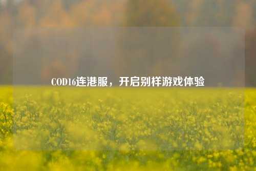COD16连港服,开启别样游戏体验