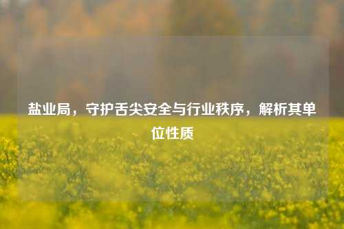 盐业局，守护舌尖安全与行业秩序，解析其单位性质