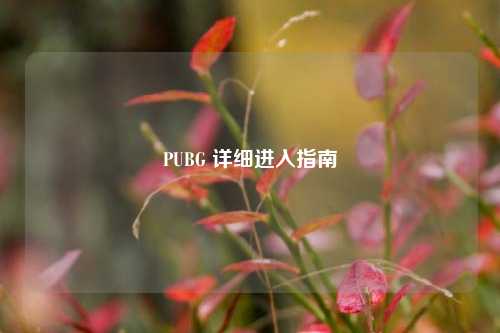 PUBG 详细进入指南