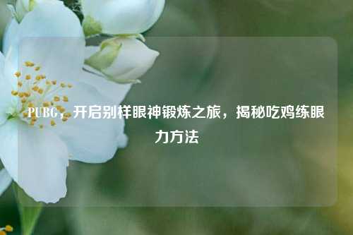 PUBG，开启别样眼神锻炼之旅，揭秘吃鸡练眼力方法