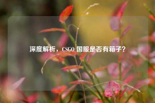 深度解析，CSGO 国服是否有箱子？