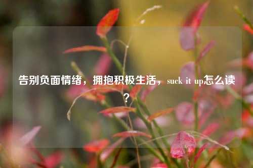 告别负面情绪，拥抱积极生活，suck it up怎么读？