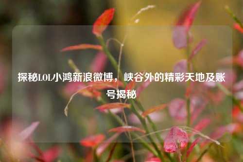 探秘LOL小鸿新浪微博，峡谷外的精彩天地及账号揭秘