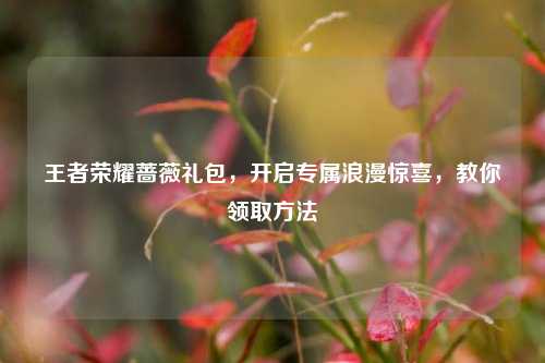 王者荣耀蔷薇礼包，开启专属浪漫惊喜，教你领取方法