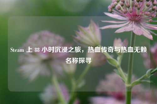 Steam 上 88 小时沉浸之旅，热血传奇与热血无赖名称探寻