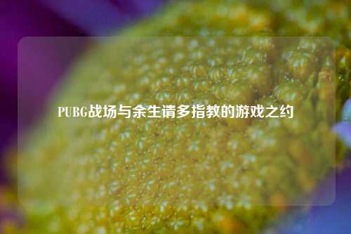 PUBG战场与余生请多指教的游戏之约