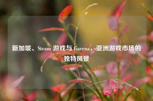 新加坡、Steam 游戏与 Garena,亚洲游戏市场的独特风景