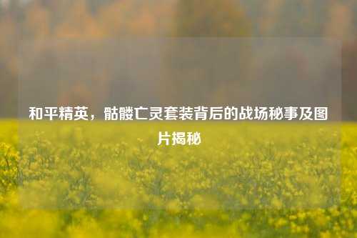 和平精英,骷髅亡灵套装背后的战场秘事及图片揭秘