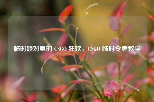 临时派对里的 CSGO 狂欢,CSGO 临时令牌教学