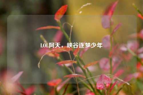 LOL阿天，峡谷逐梦少年