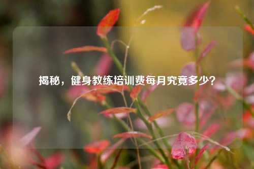 揭秘,健身教练培训费每月究竟多少?