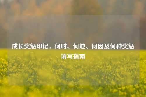 成长奖惩印记，何时、何地、何因及何种奖惩填写指南