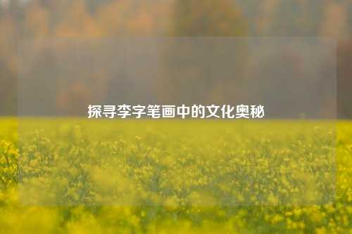 探寻李字笔画中的文化奥秘