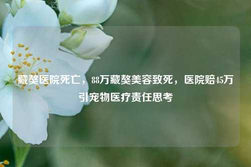 藏獒医院死亡，88万藏獒美容致死，医院赔45万引宠物医疗责任思考