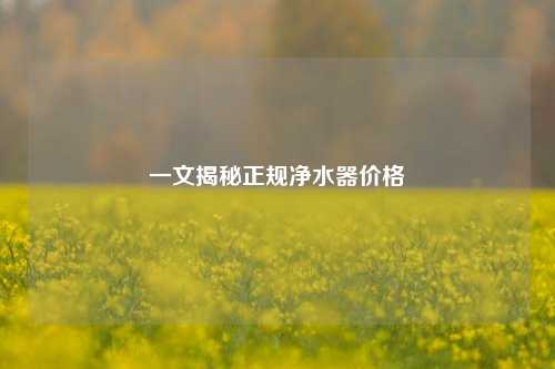 一文揭秘正规净水器价格